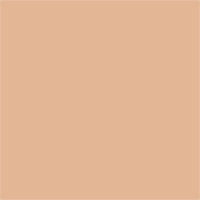 Nudestix Tinted Cover Foundation