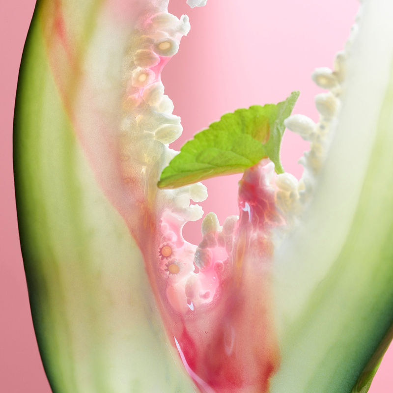 BVLGARI Rose Goldea Blossom Delight Eau De Parfum For Her