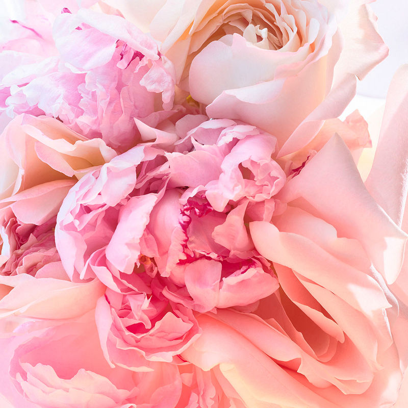 BVLGARI Rose Goldea Blossom Delight Eau De Toilette For Her