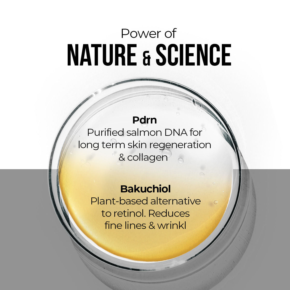Dr. Sheth's Bakuchiol & PDRN Ampoule Serum Anti-Aging, Reduces Wrinkles, Fine Lines & Repairs Skin