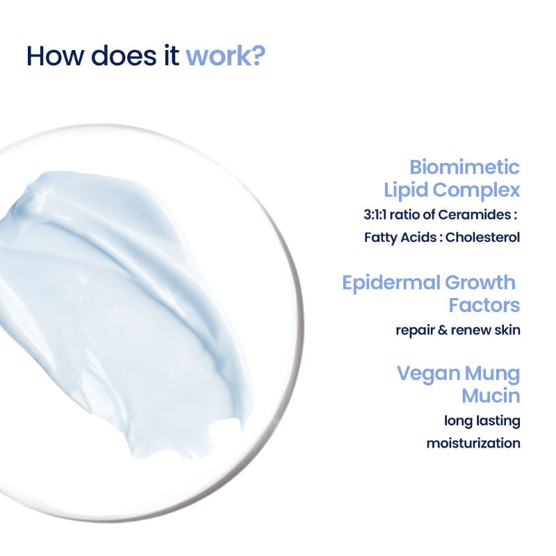 WishCare 3:1:1 Barrier Bounce Moisturizer for Dry Skin with Ceramides &Mung Mucin for Barrier Repair