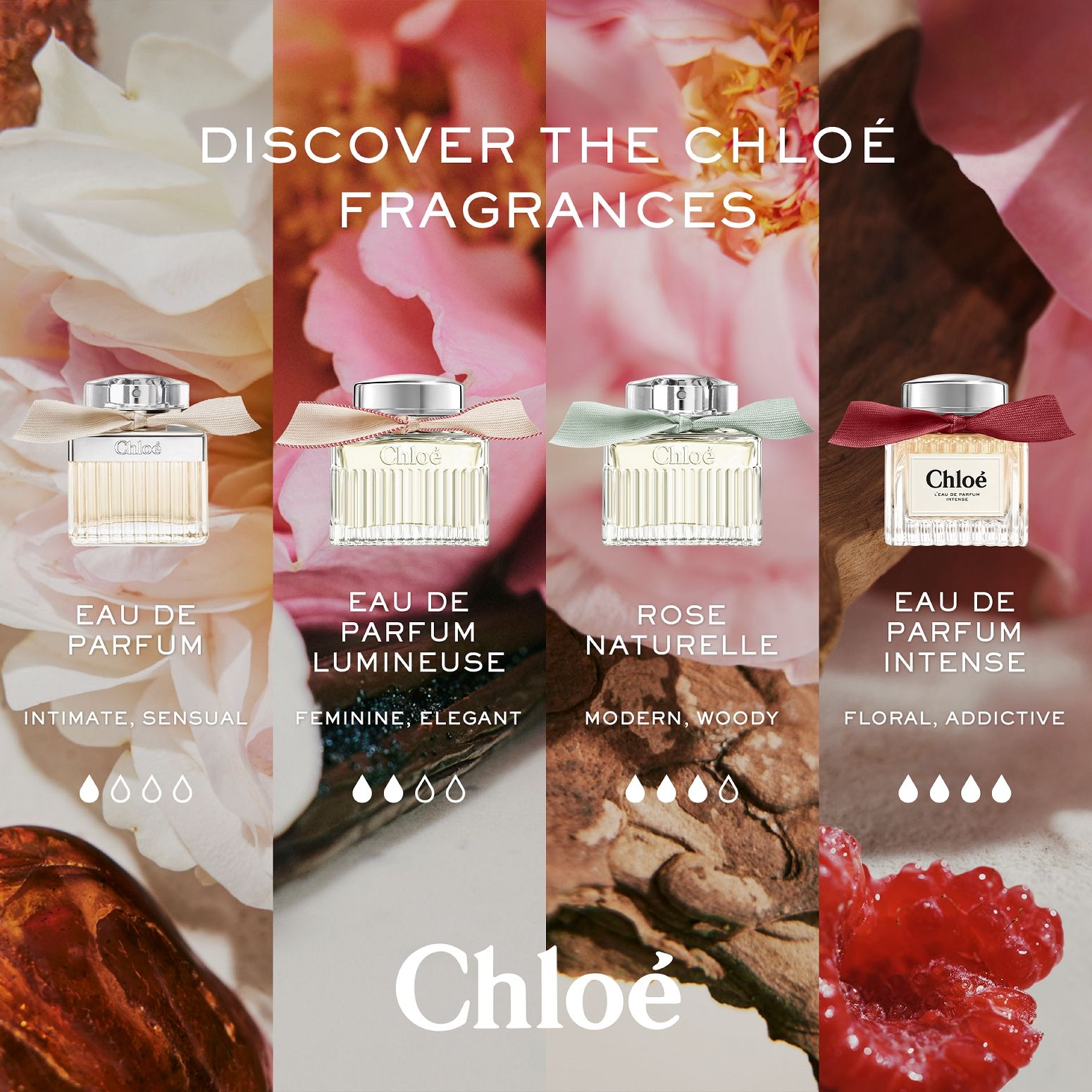 Chloé L’Eau De Parfum Intense For Women