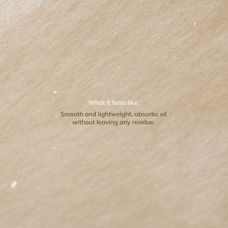 ILEM Japan Blotting Paper