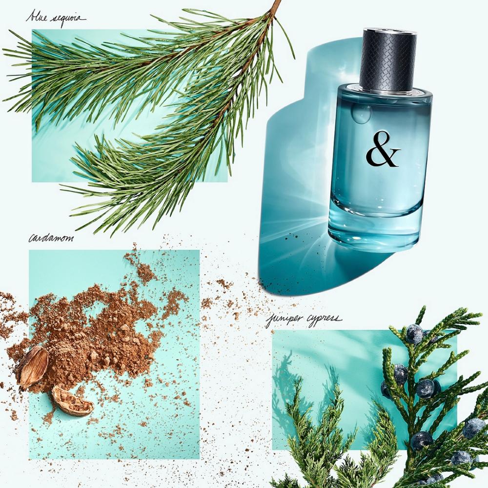Tiffany & Co. Tiffany & Love for Him Eau De Toilette