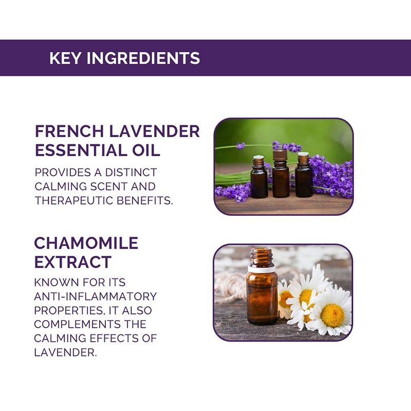 Otrix French Lavender Body Wash