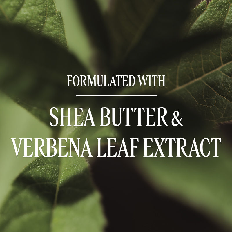 L'Occitane Shea Butter Hands & Body Verbena Lotion For Dry To Very Dry Skin