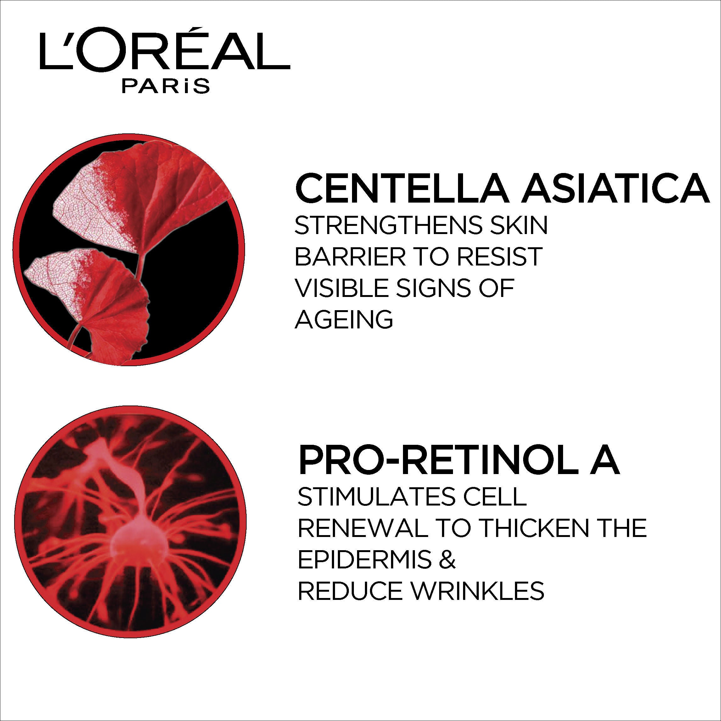 L'Oreal Paris Revitalift Anti-Wrinkles + Radiance Moisturizing Cream Day SPF 35 PA++