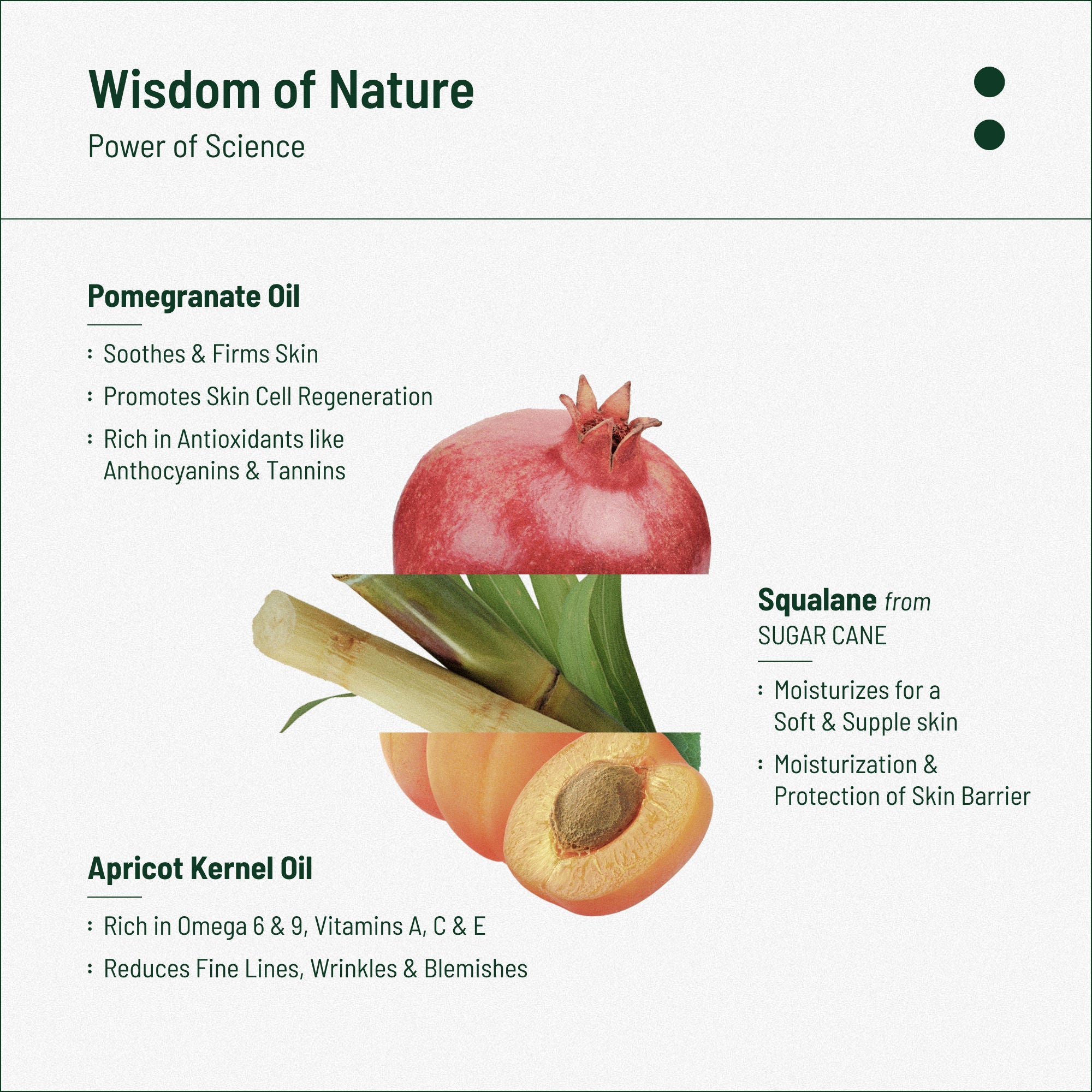 Biocule Renew Anti Aging Face Oil With Squalane, Apricot & Pomegranate Oils