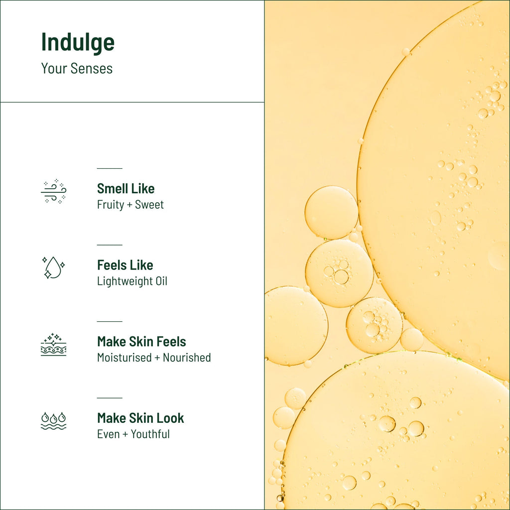 Biocule Renew Anti Aging Face Oil With Squalane, Apricot & Pomegranate Oils