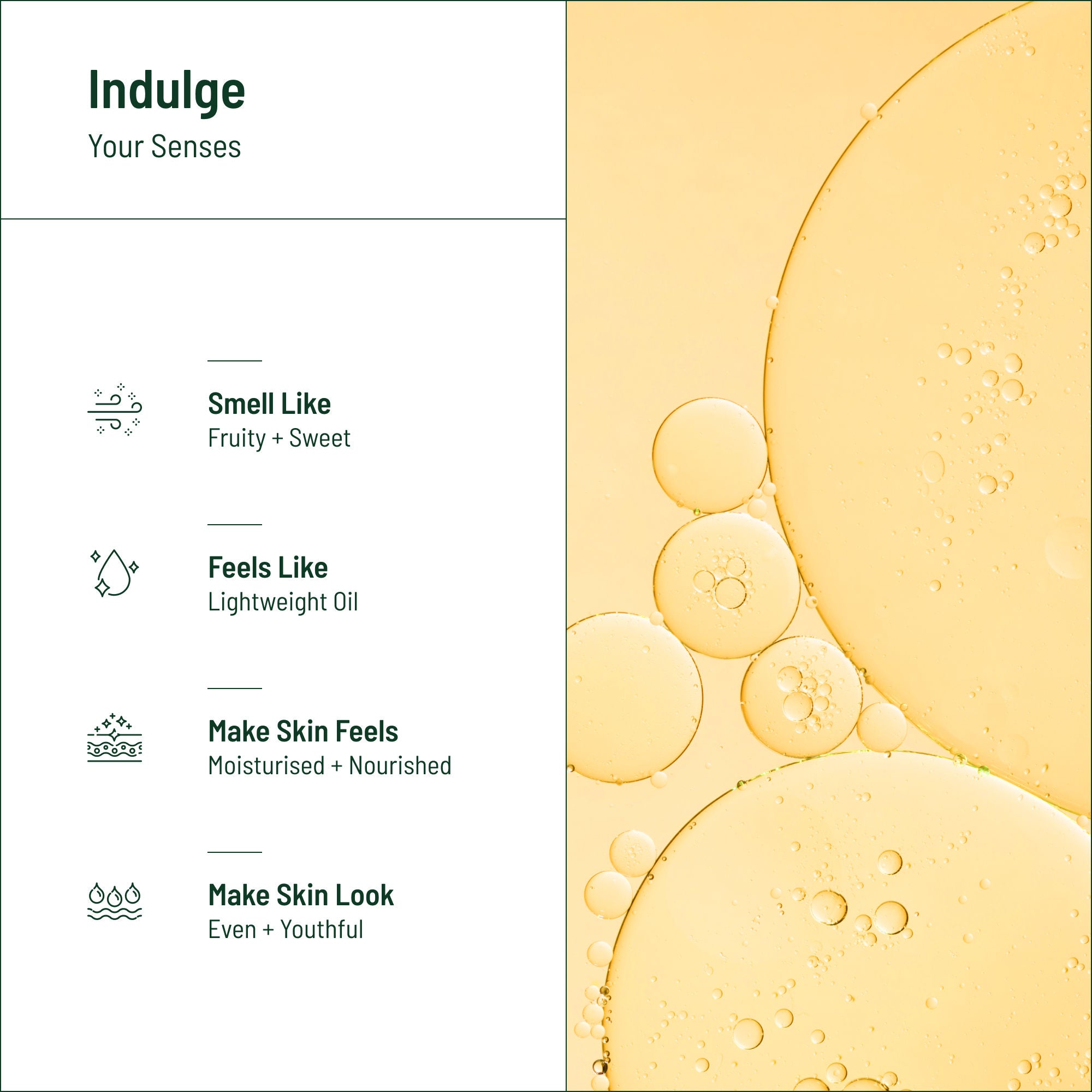 Biocule Renew Anti Aging Face Oil With Squalane, Apricot & Pomegranate Oils