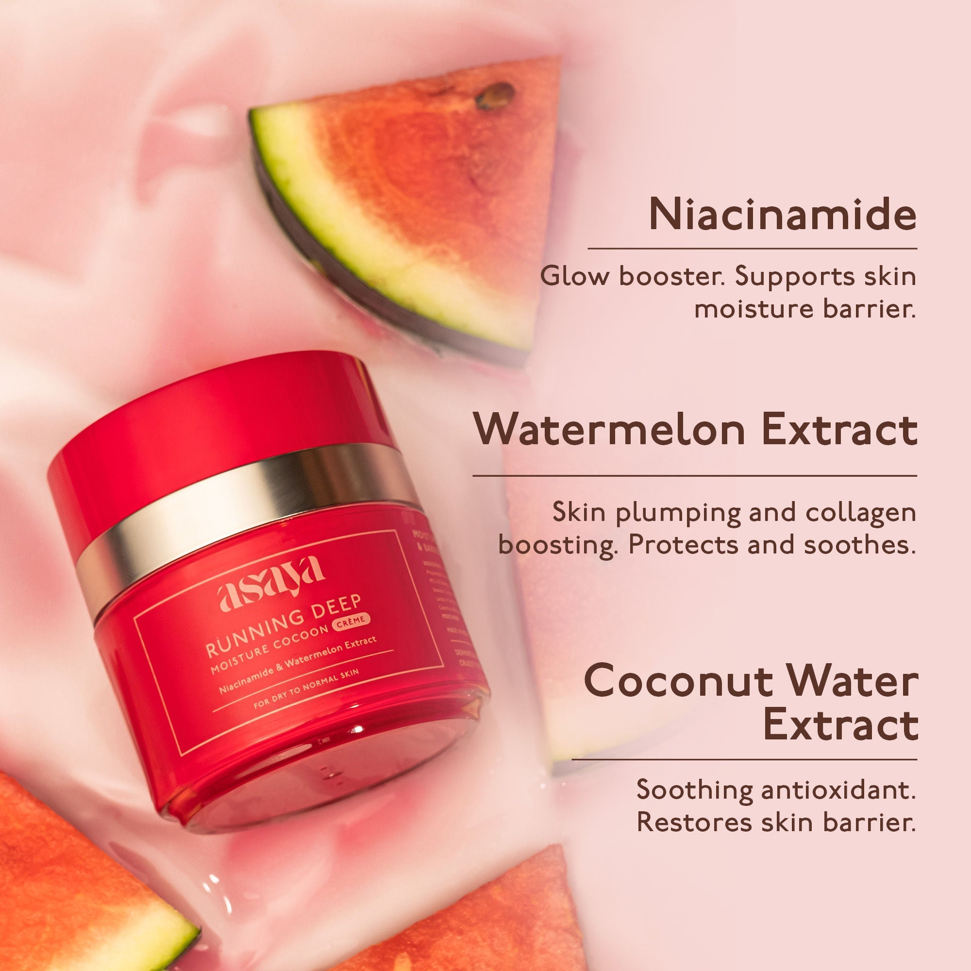 Asaya Cream Face Moisturizer For Dry Skin With Niacinamide Watermelon Extract And Glycerine