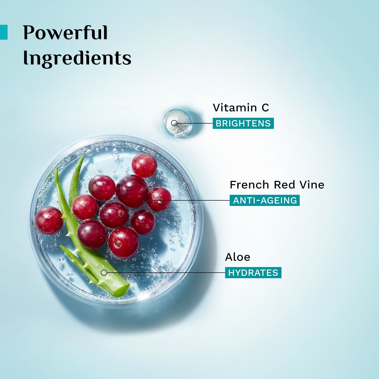 Pilgrim Red Vine Face Wash with Vitamin C & Aloe
