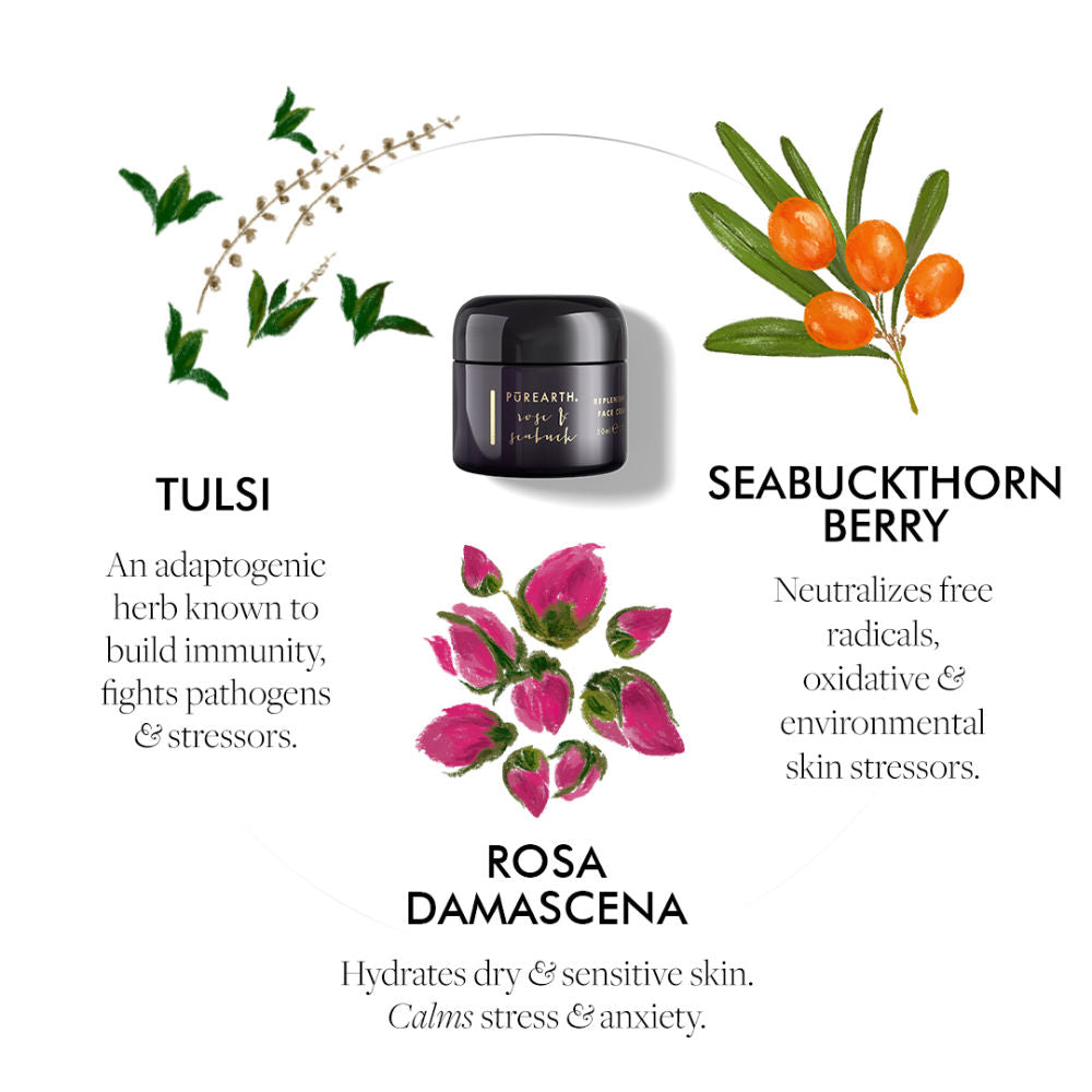 Purearth Rose & Seabuck Replenishing Face Cream