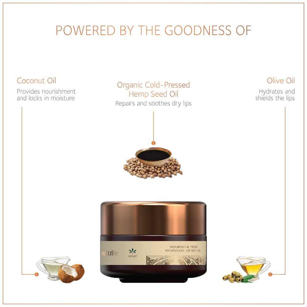 SoulTree Hemp Nourish & Treat Ayurvedic Lip Butter