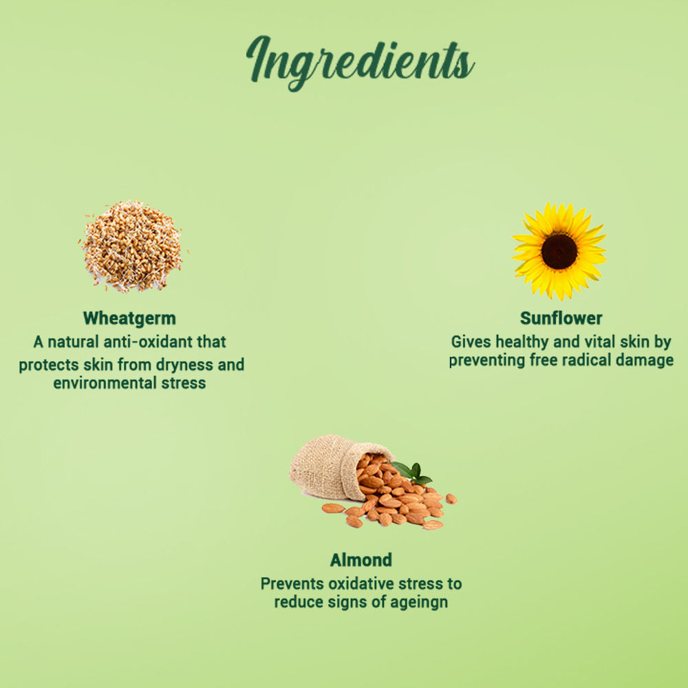Biotique Wheatgerm Anti-Ageing Night Cream