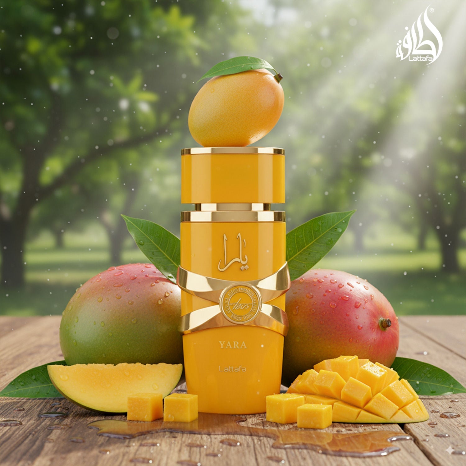 Lattafa Yara Tous Long Lasting Eau De Parfum