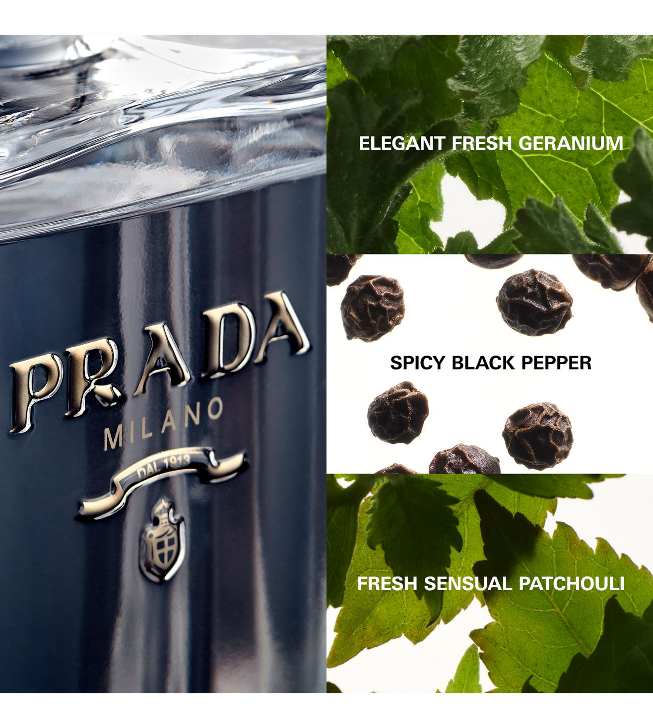 PRADA L'Homme Eau De Toilette For Him