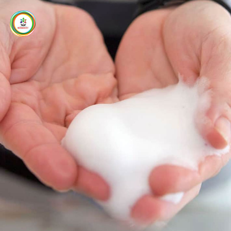 Bloomsberry Aloe Twist Gentle Foaming Hand Soap
