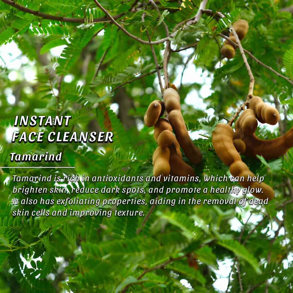SANCTUS Anti- Bacterial Instant Face Cleanser