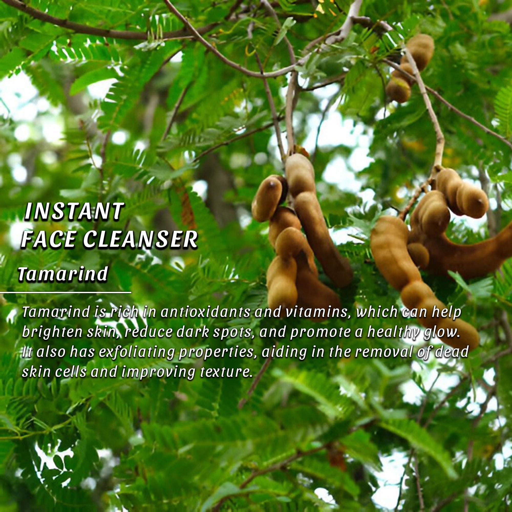 SANCTUS Anti- Bacterial Instant Face Cleanser