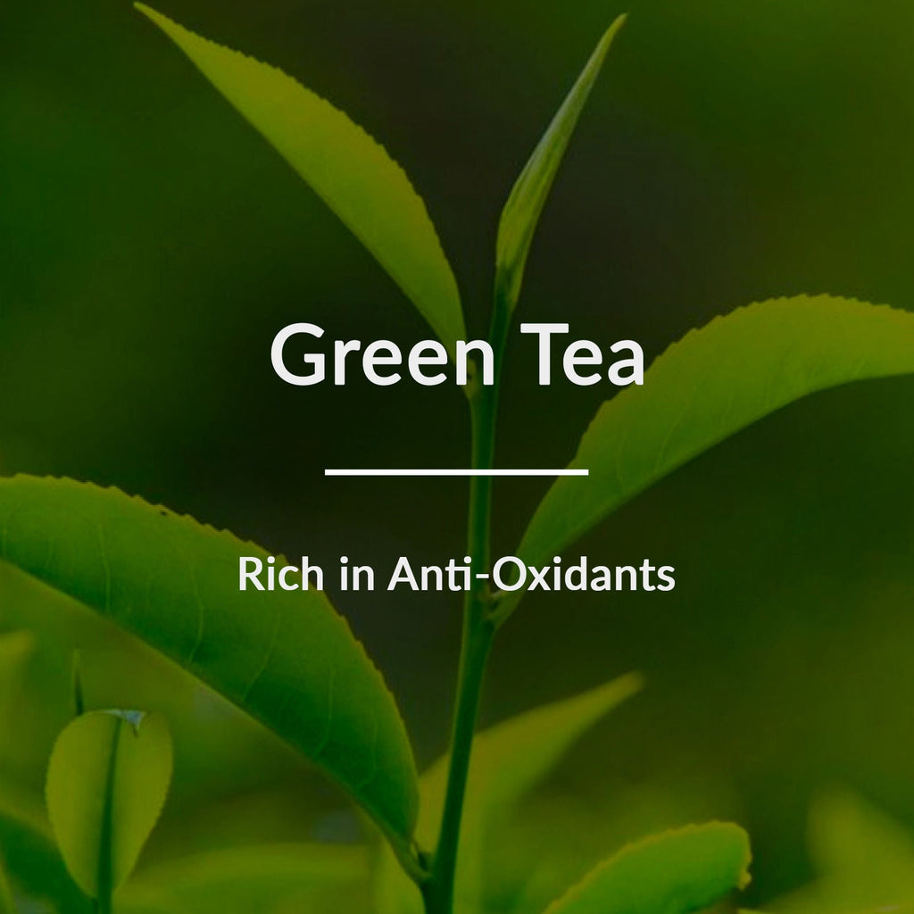 Lotus Botanicals Natural Green Tea Hydradetox Clarifying Face Wash | For All Skin Types