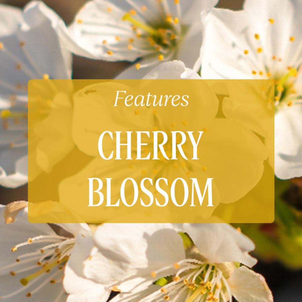 L'Occitane Fleurs de Cerisier (Cherry Blossom) Hand Cream