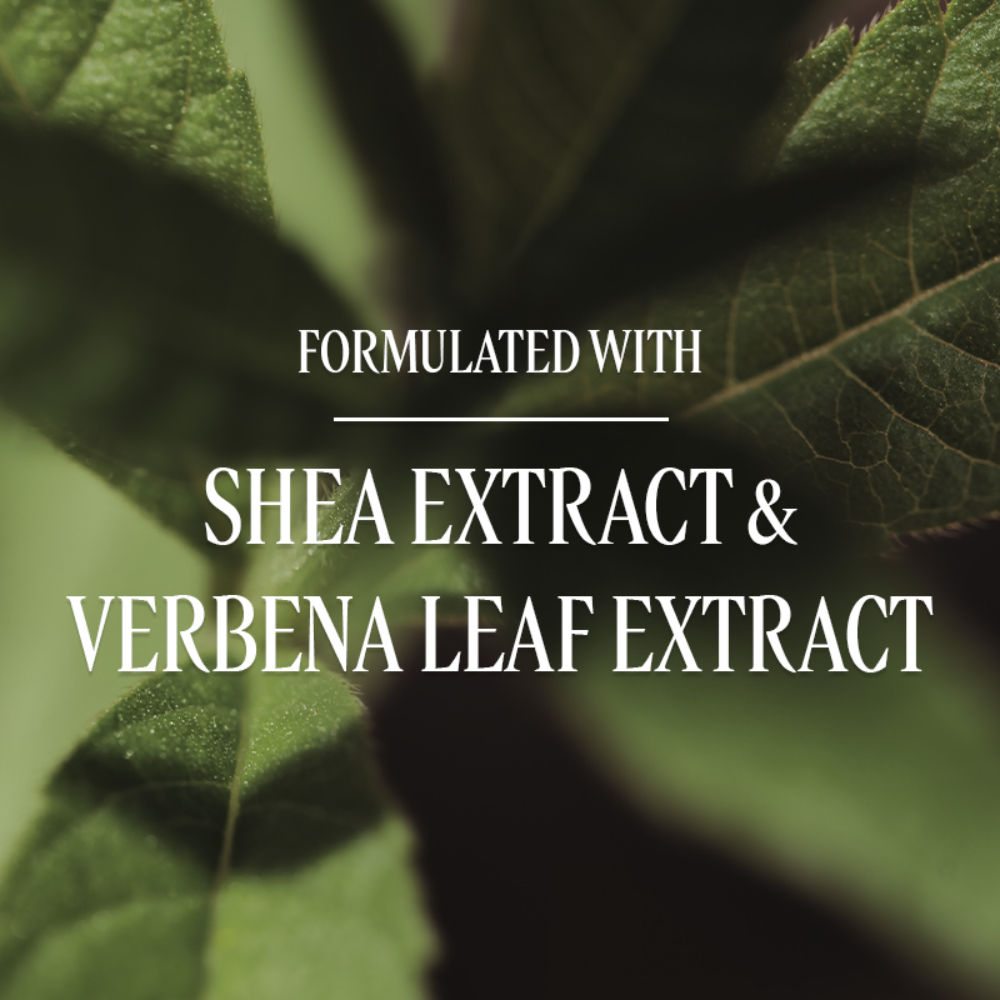 L'Occitane Verveine (Verbena) Liquid Hand Soap Refill