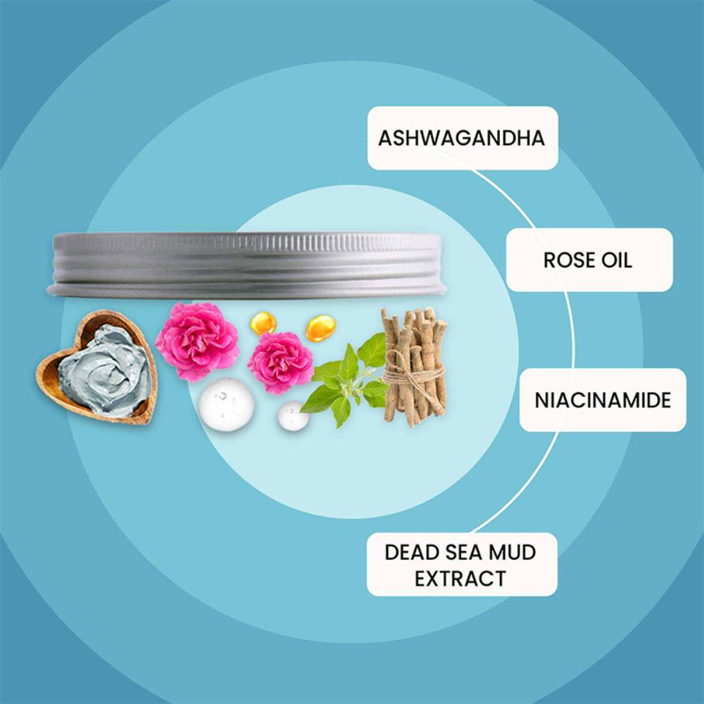 Wild Oak Jordan Dead Sea Healing Mud Face Mask