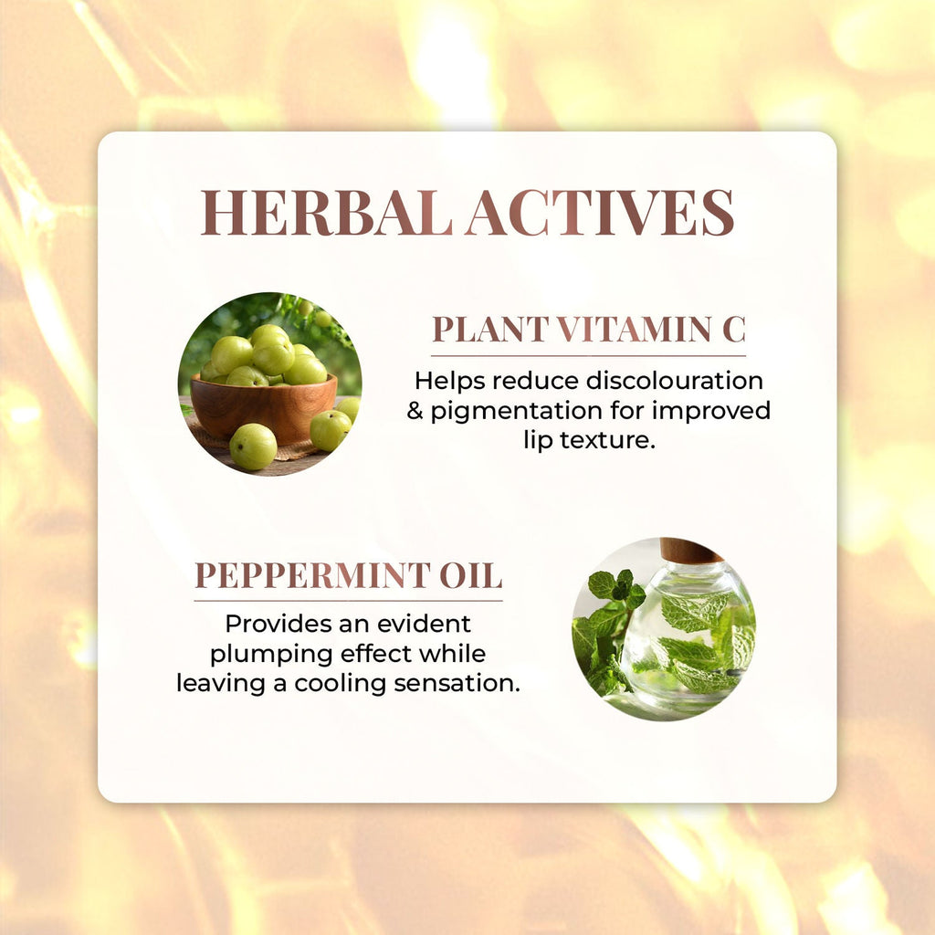 Just Herbs Non Stick Plumping Lip Gloss