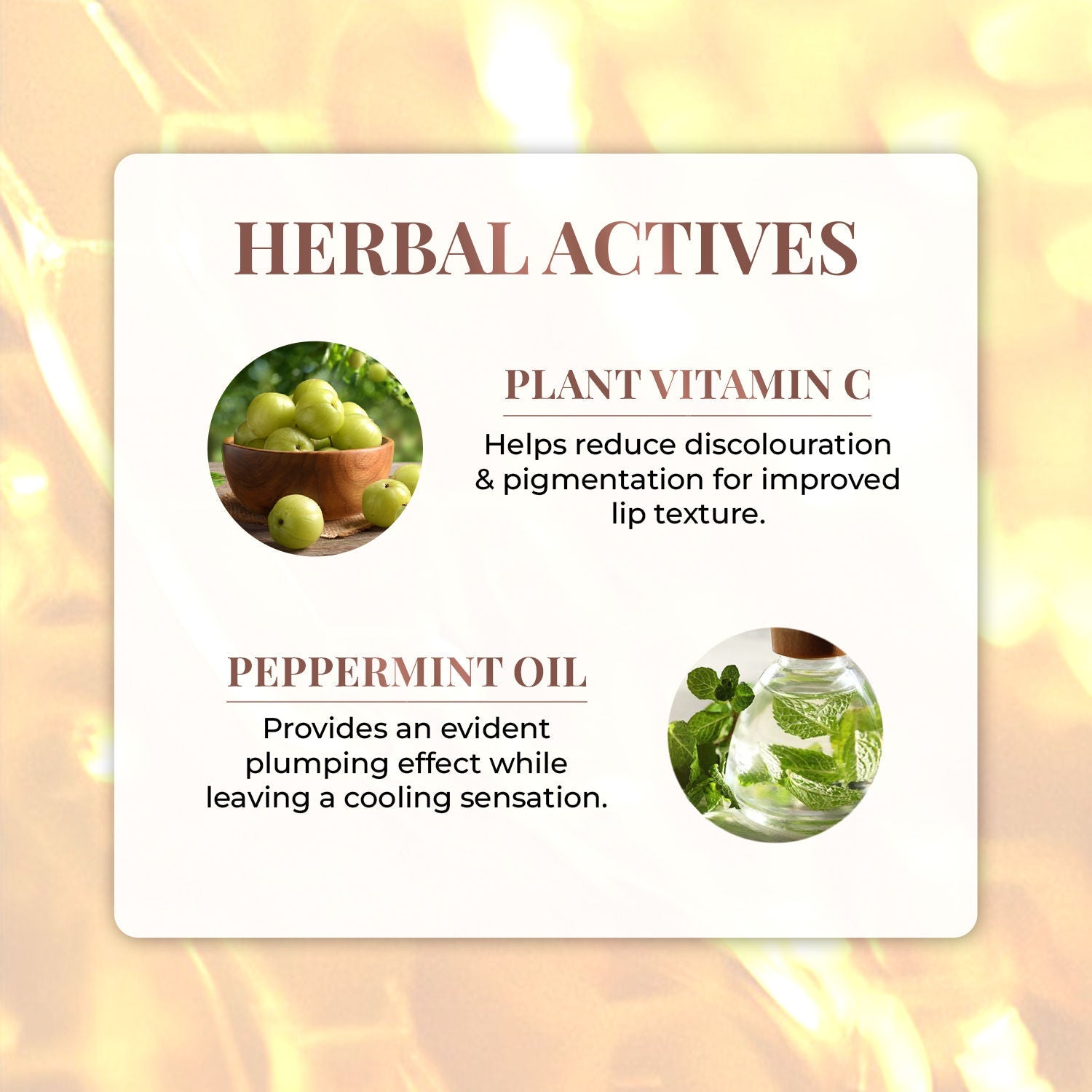 Just Herbs Non Stick Plumping Lip Gloss