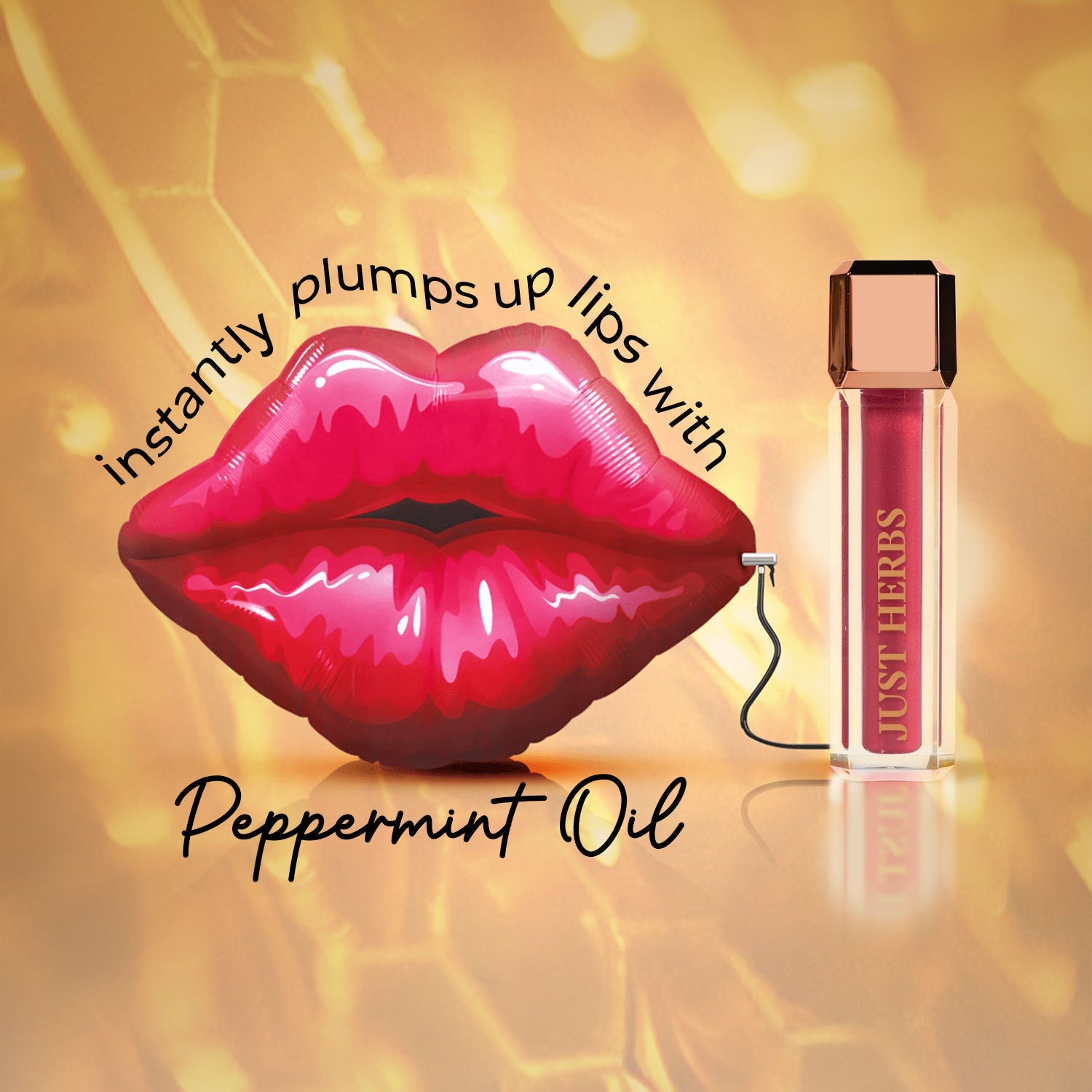 Just Herbs Non Stick Plumping Lip Gloss