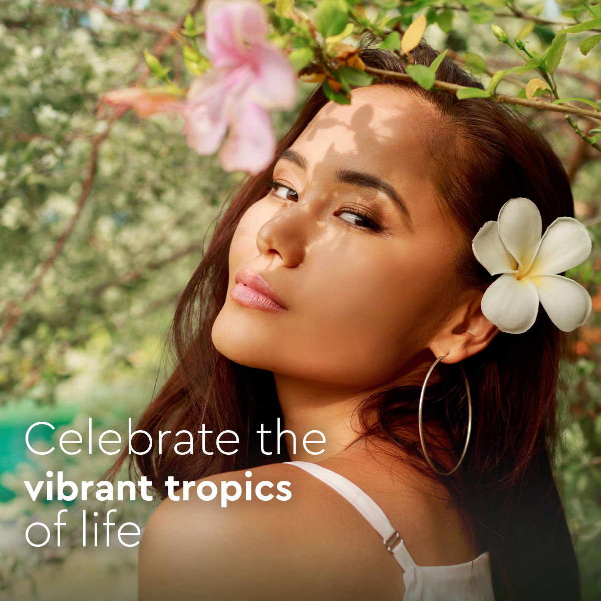 VLCC Body Mist Fragrance - Tropical Dreams