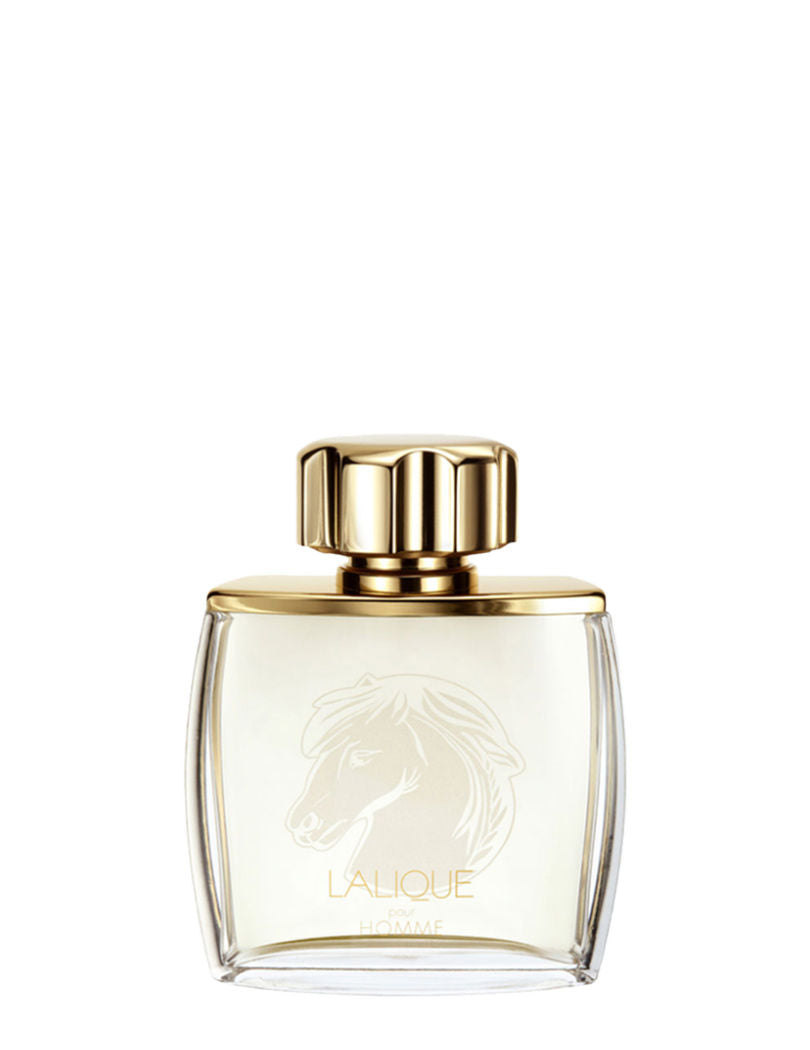 Lalique Pour Homme Equus Edp 75ml For Her