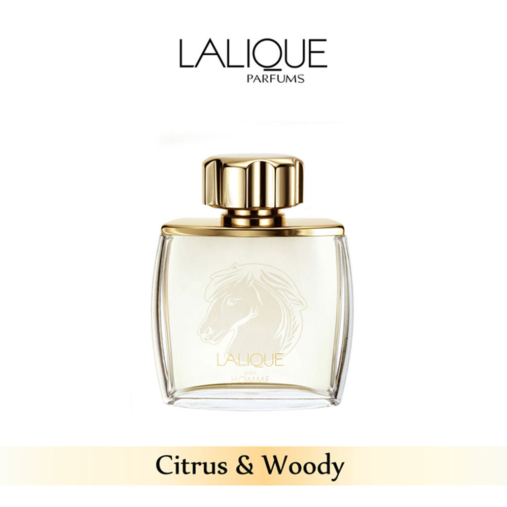 Lalique Pour Homme Equus Edp 75ml For Her
