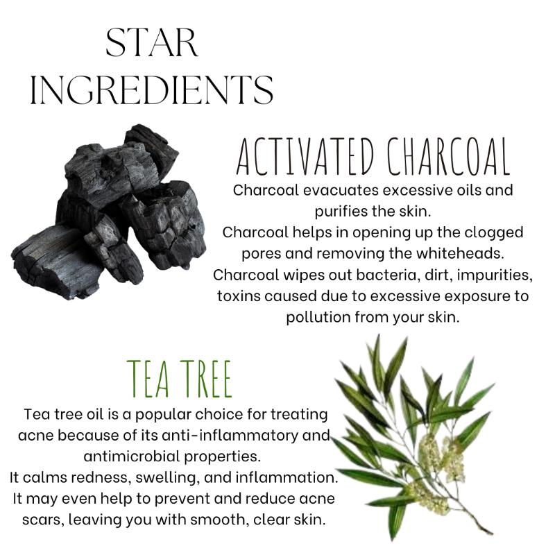 Ecoberry Activated Charcoal Teatree Face Wash