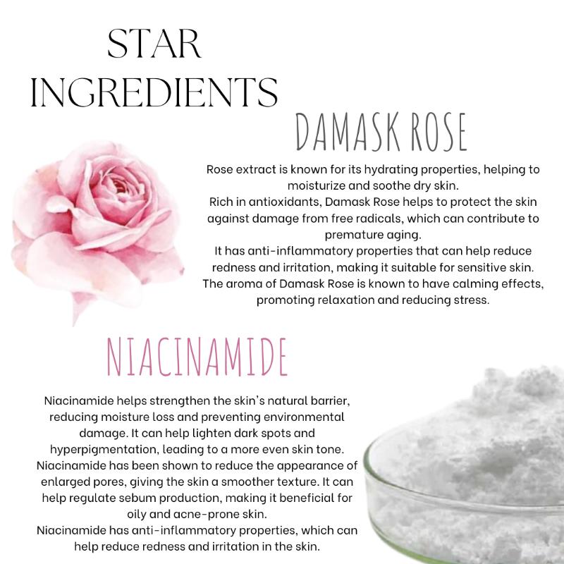 Ecoberry Damask Rose Face Wash Powder