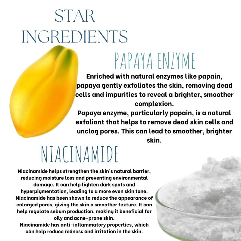 Ecoberry Papaya Enzyme Face Wash Powder