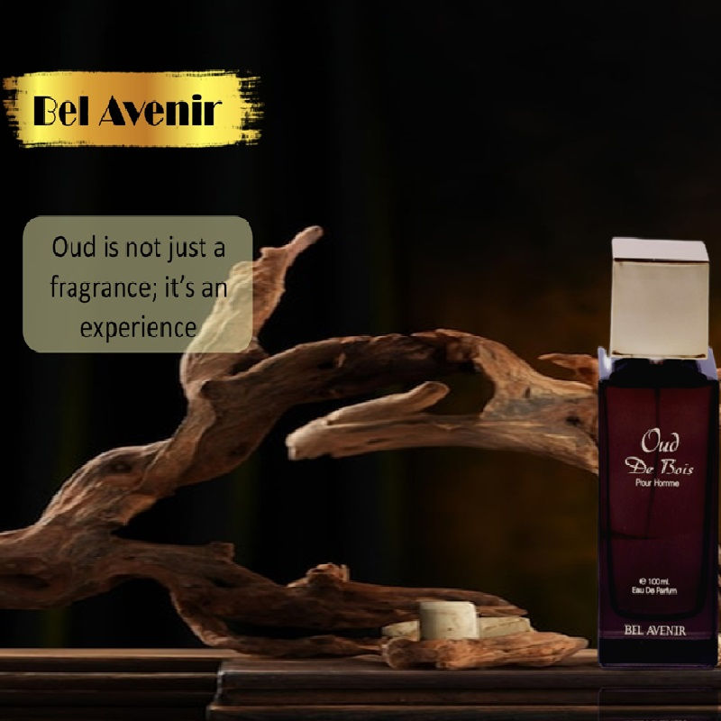 BEL AVENIR Oud De Bois Luxury Longlasting Eau De Parfum For Mens
