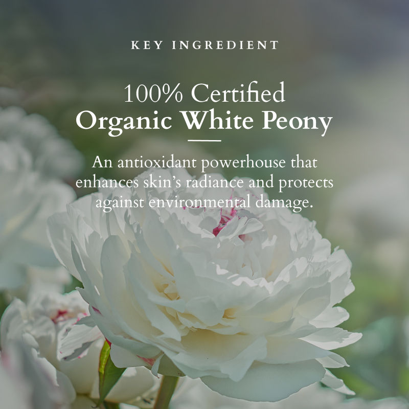 Lotus Organics+ Precious Brightening Cleansing Balm
