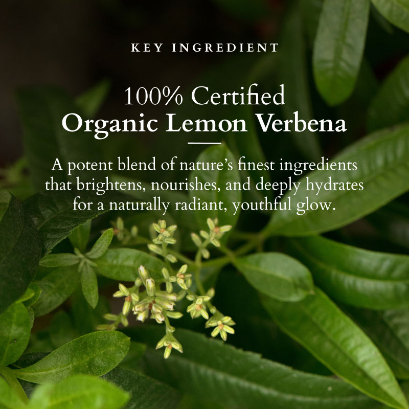 Lotus Organics Vit-C Radiance Booster Cleanser - Lemon Verbena