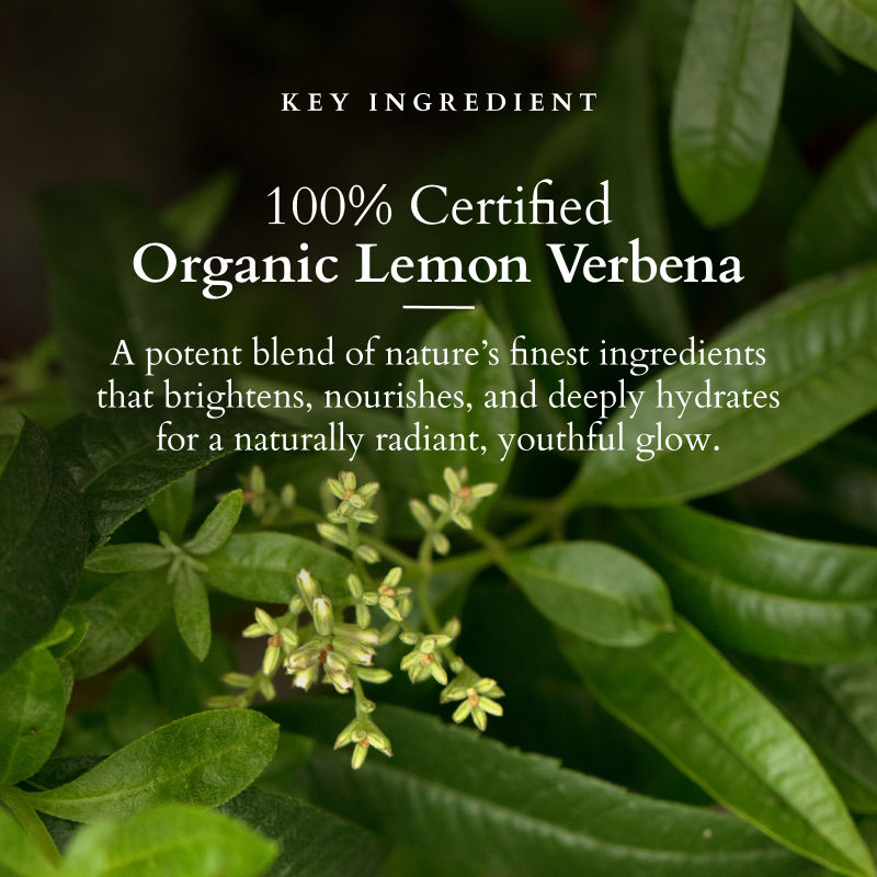 Lotus Organics Vit-C Radiance Booster Crème SPF 20 PA+++ - Lemon Verbena