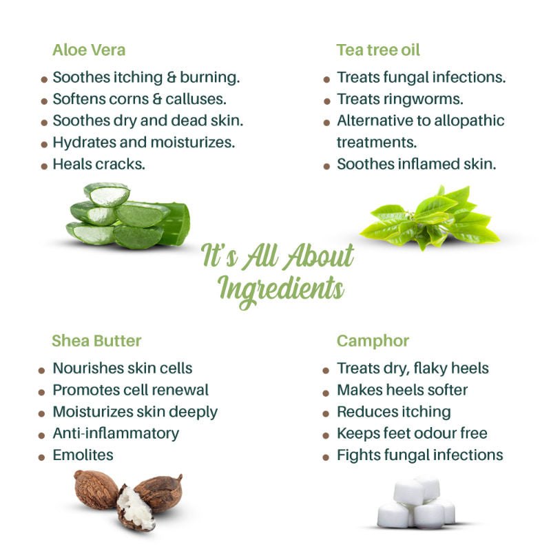 Matra Foot Cream For Cracked Heels & Dry Feet With Aloe Vera & Tea Tree Oil