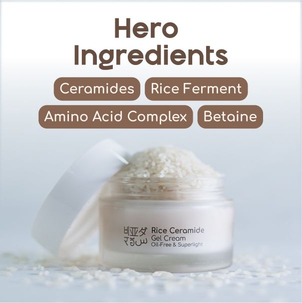 Beyond Rice Ceramide Moisturizer Oil & Fragrance Free Gel Cream