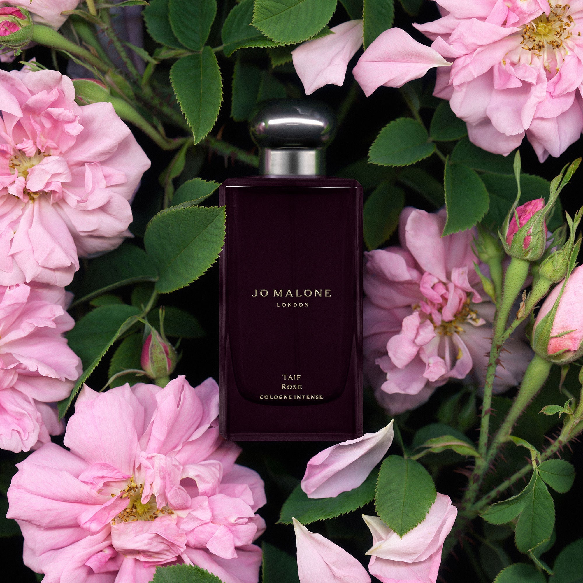 Jo Malone London Cologne Intense Taif Rose