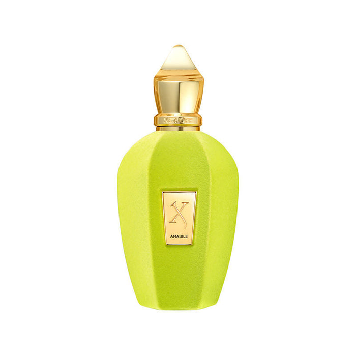 Xerjoff Ambile Unisex Eau de Parfum