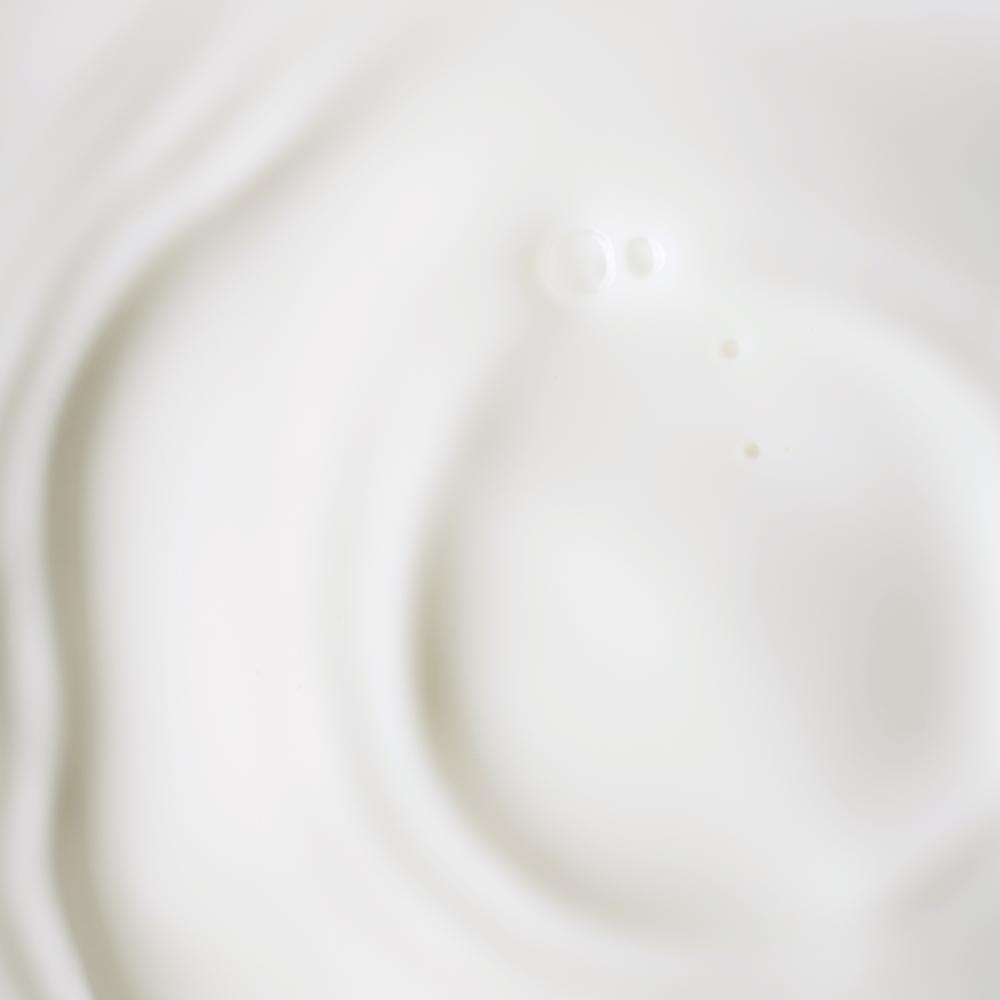 Kora Organics Plant Stem Cell Retinol Alternative Serum Firms Smooths Protect With Bakuchiol Rosehip