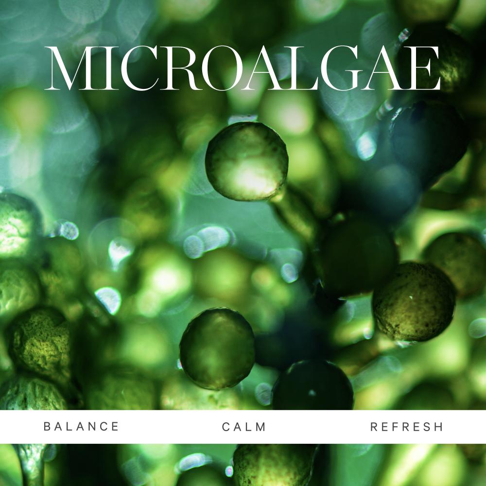 Kora Organics Active Algae Cleansing Balm - Removes Makeup Soothes Hydrates With Jojoba & Squalane