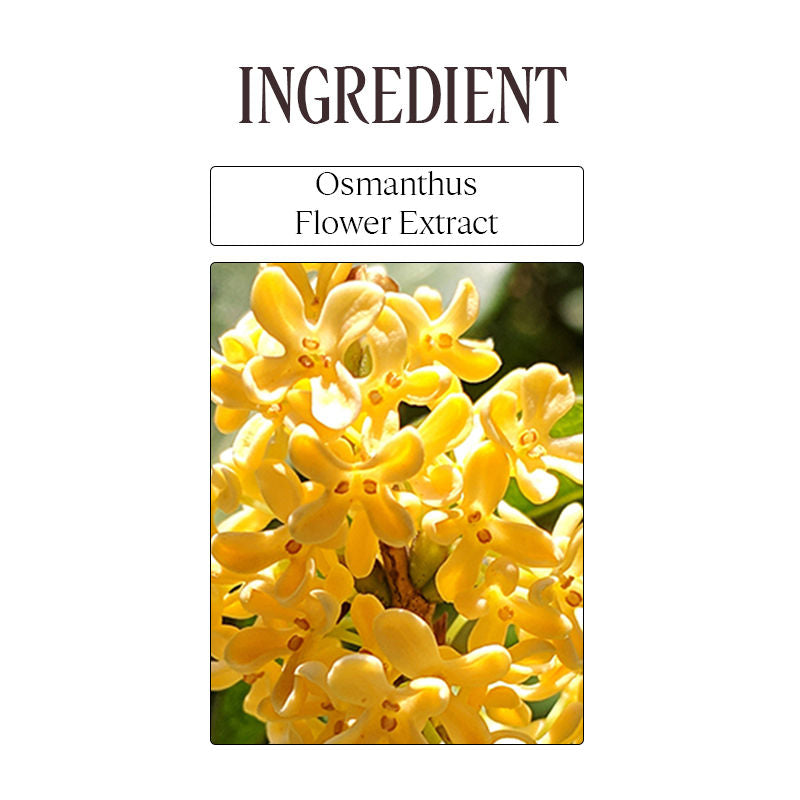 L'Occitane Osmanthus Abricot Perfumed Shower Gel
