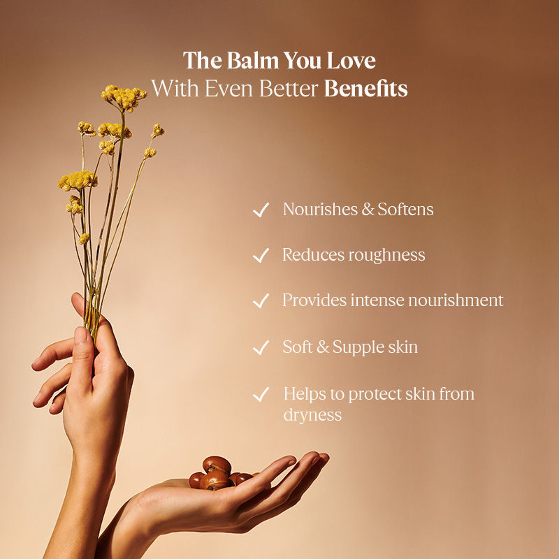 L'Occitane Organic-Certified Pure Shea Butter