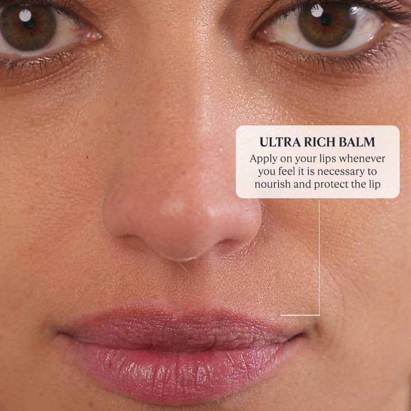 L'Occitane Shea Butter Ultra Rich Lip Balm